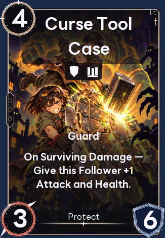 Curse Tool Case
